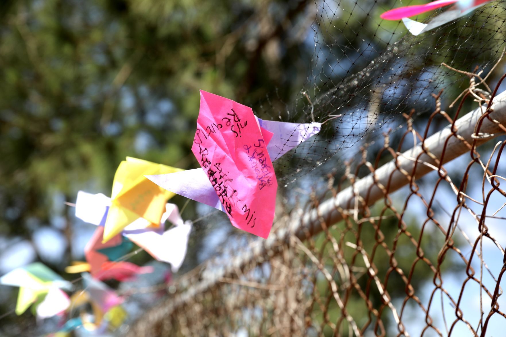 Outdoor Art Exhibit